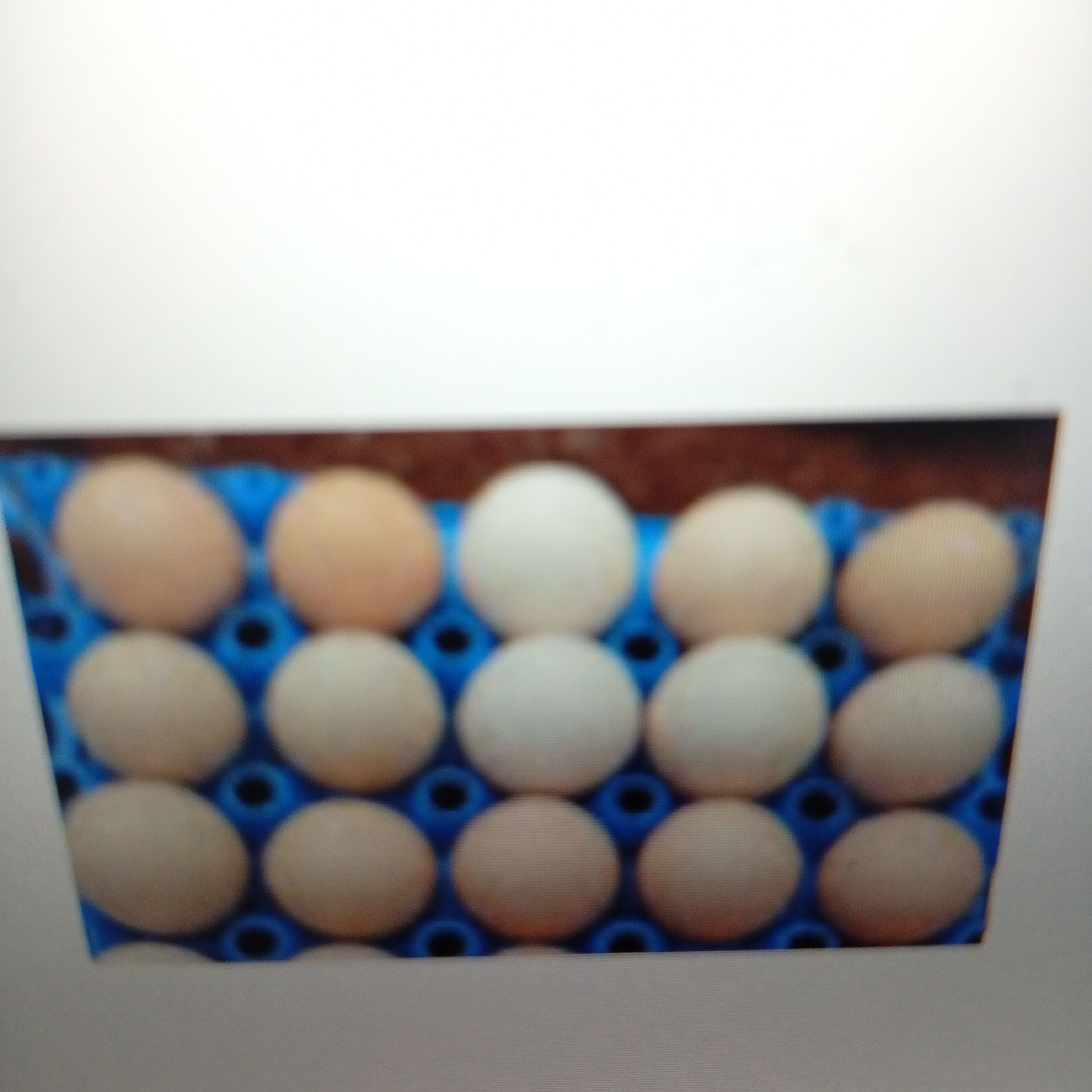 KIENYEJI EGGS - 500.00 KSh