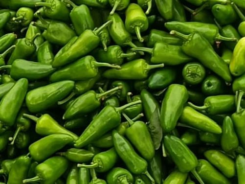 Bullet chillies