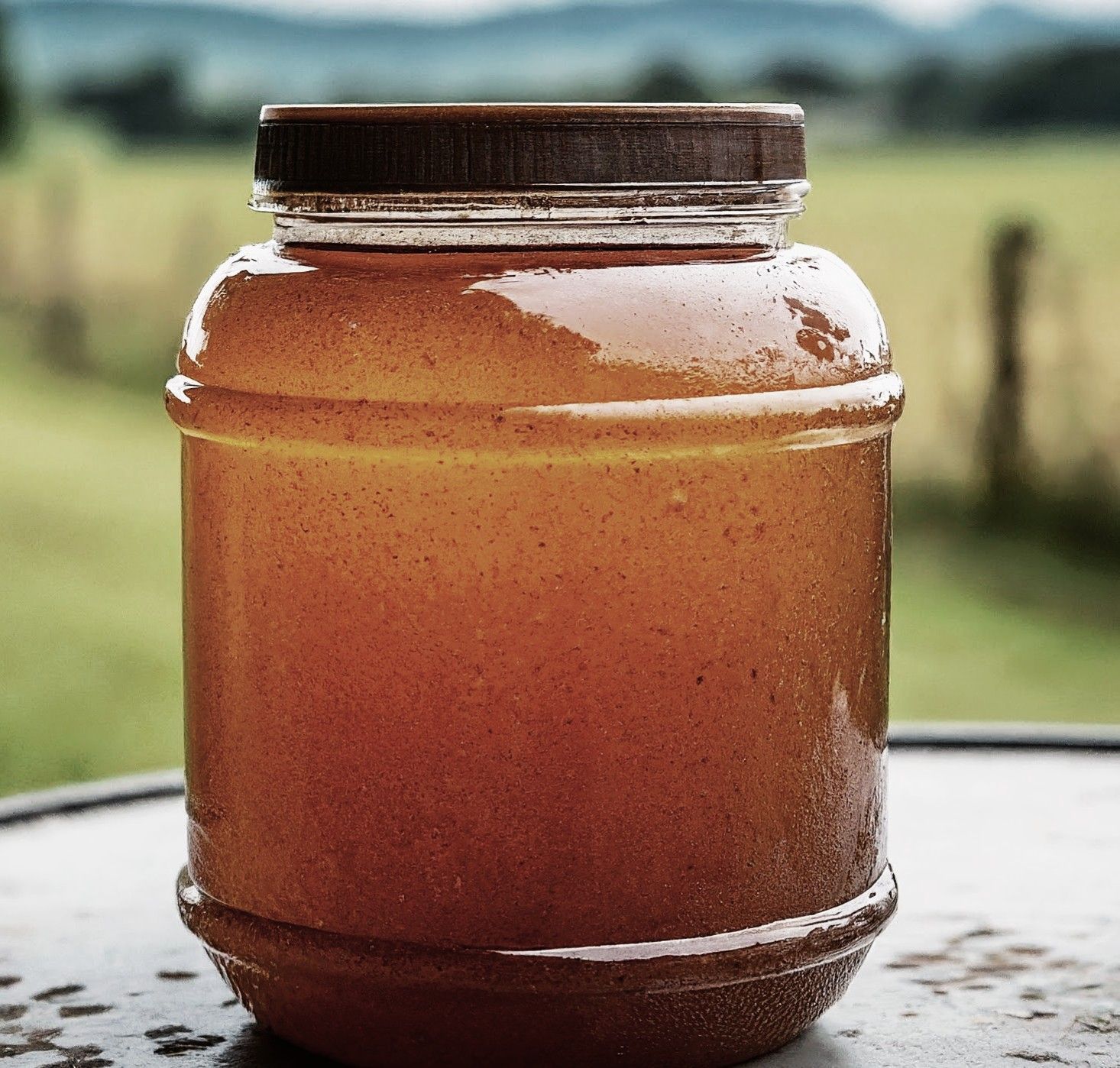 Stingless Bee Honey