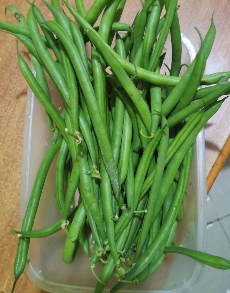 French beans  available