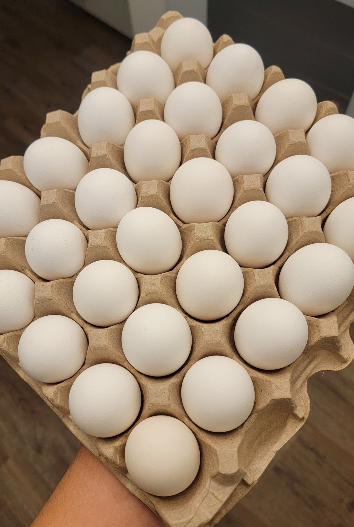 Improved kienyeji egg