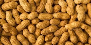 Groundnuts