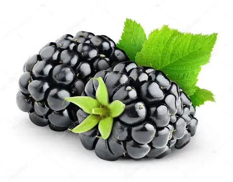 Blackberries