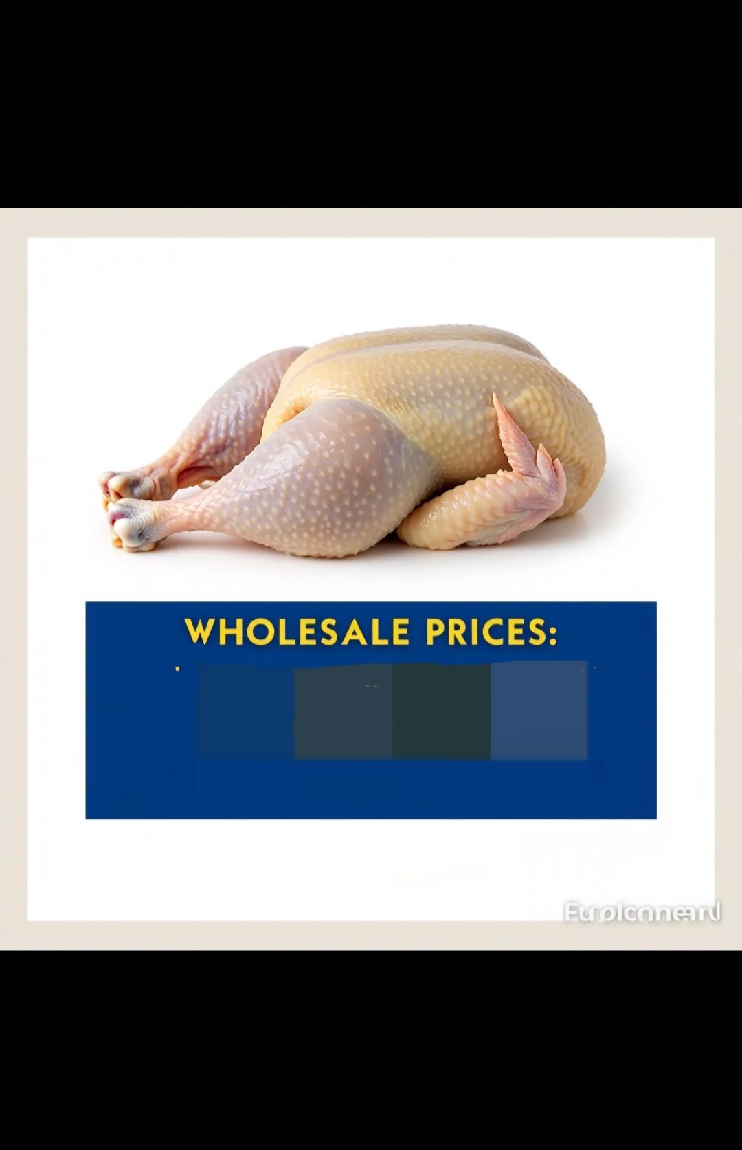 Fresh broilers