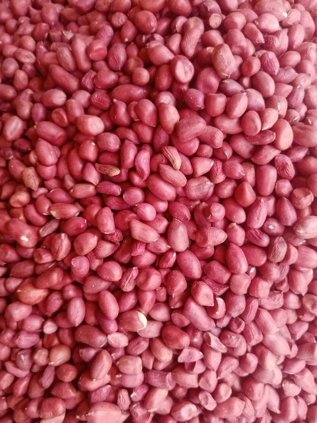Groundnuts
