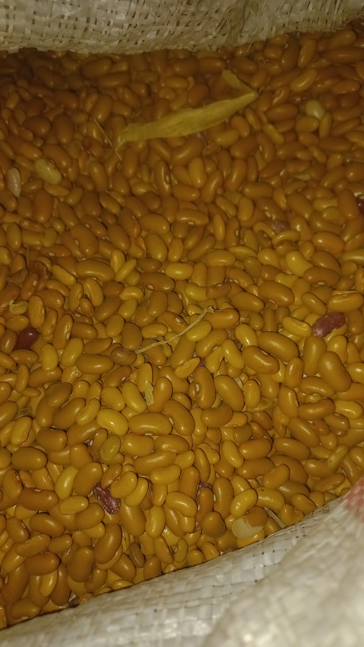 Yellow beans