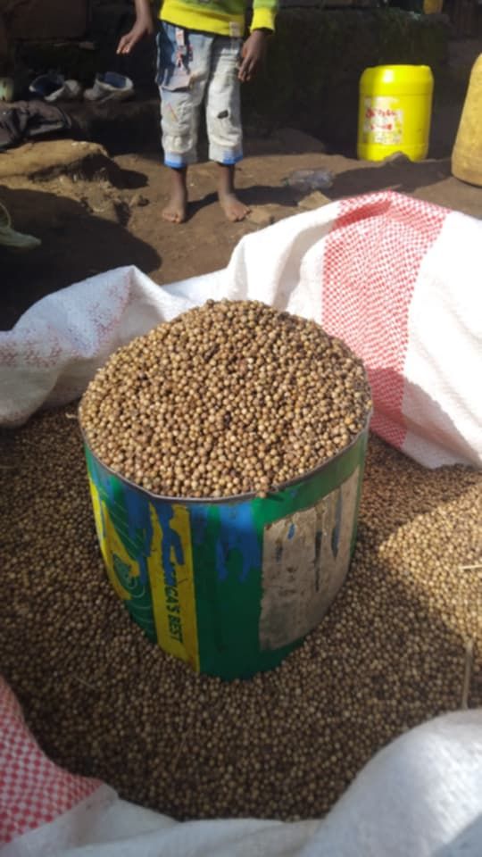 Coriander seeds