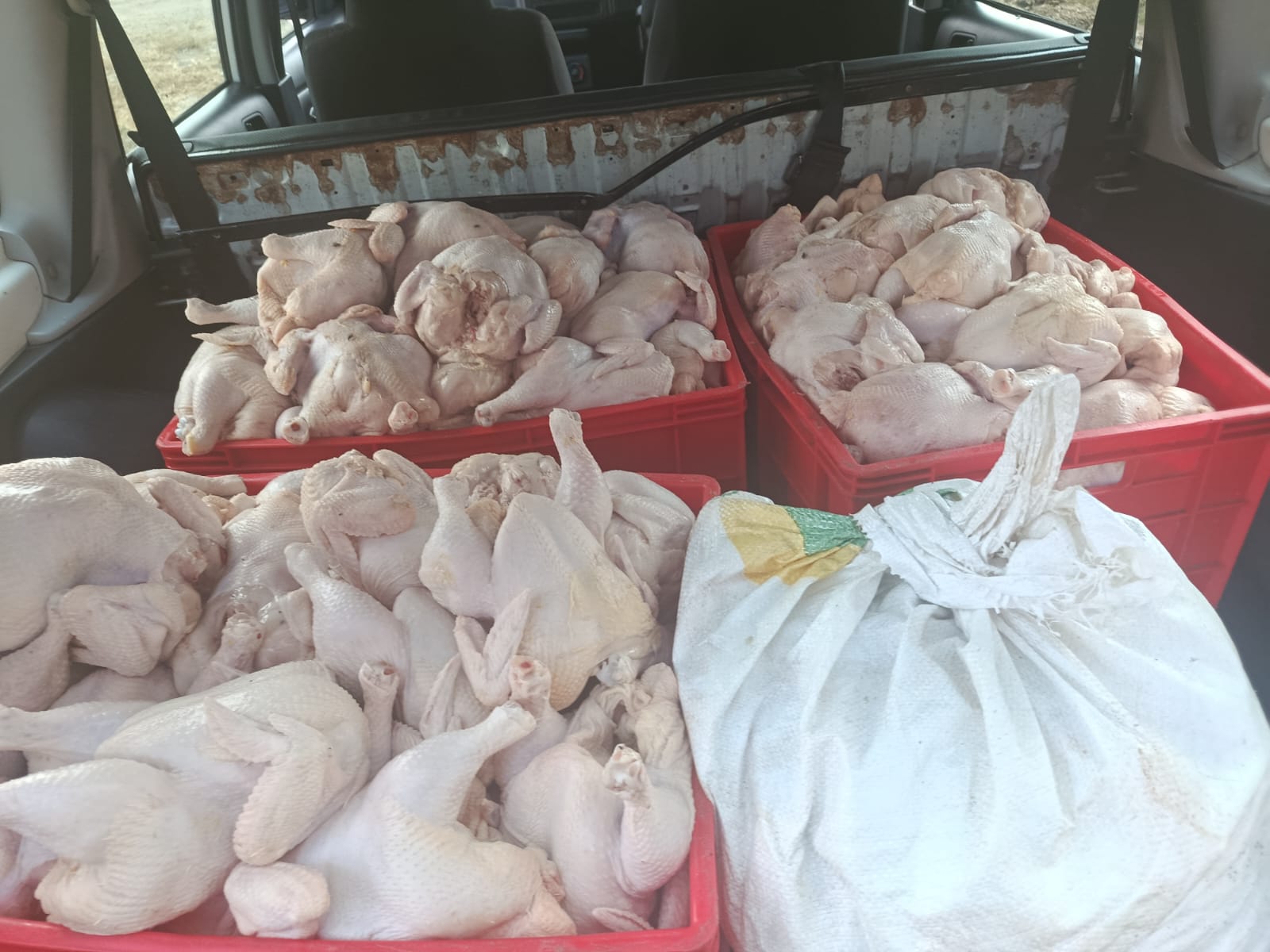Broiler meat