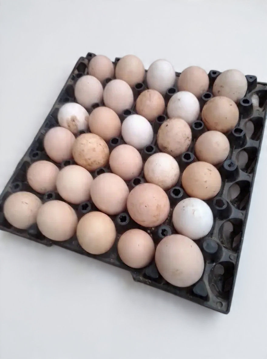 Eggs