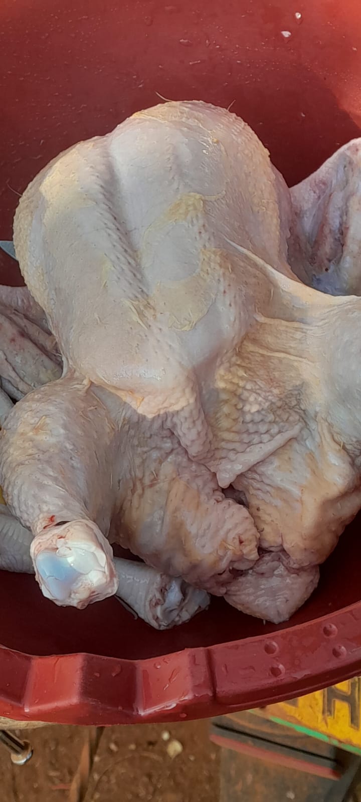Broilers
