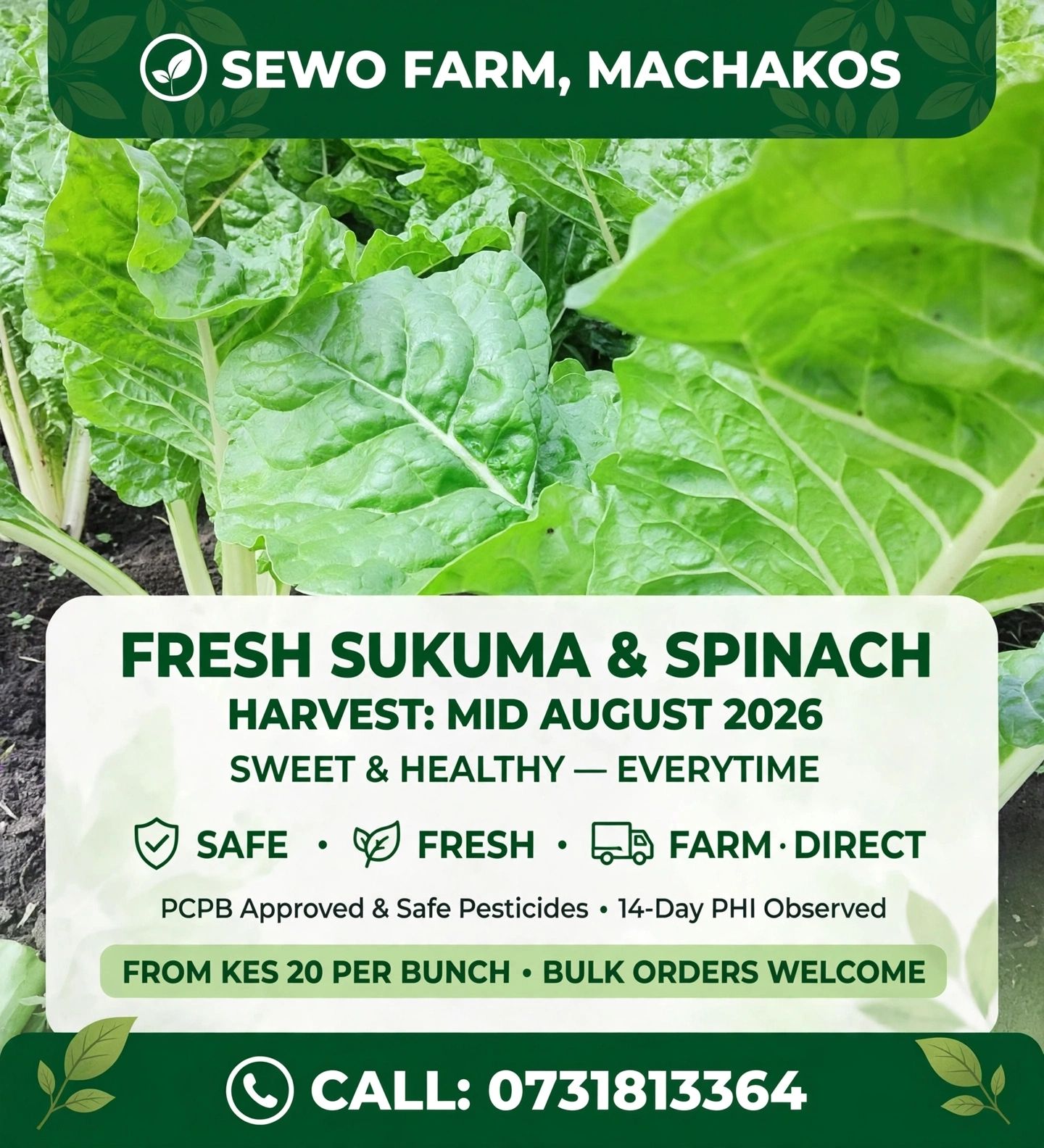 Sukumawiki,  Spinach, cabbage