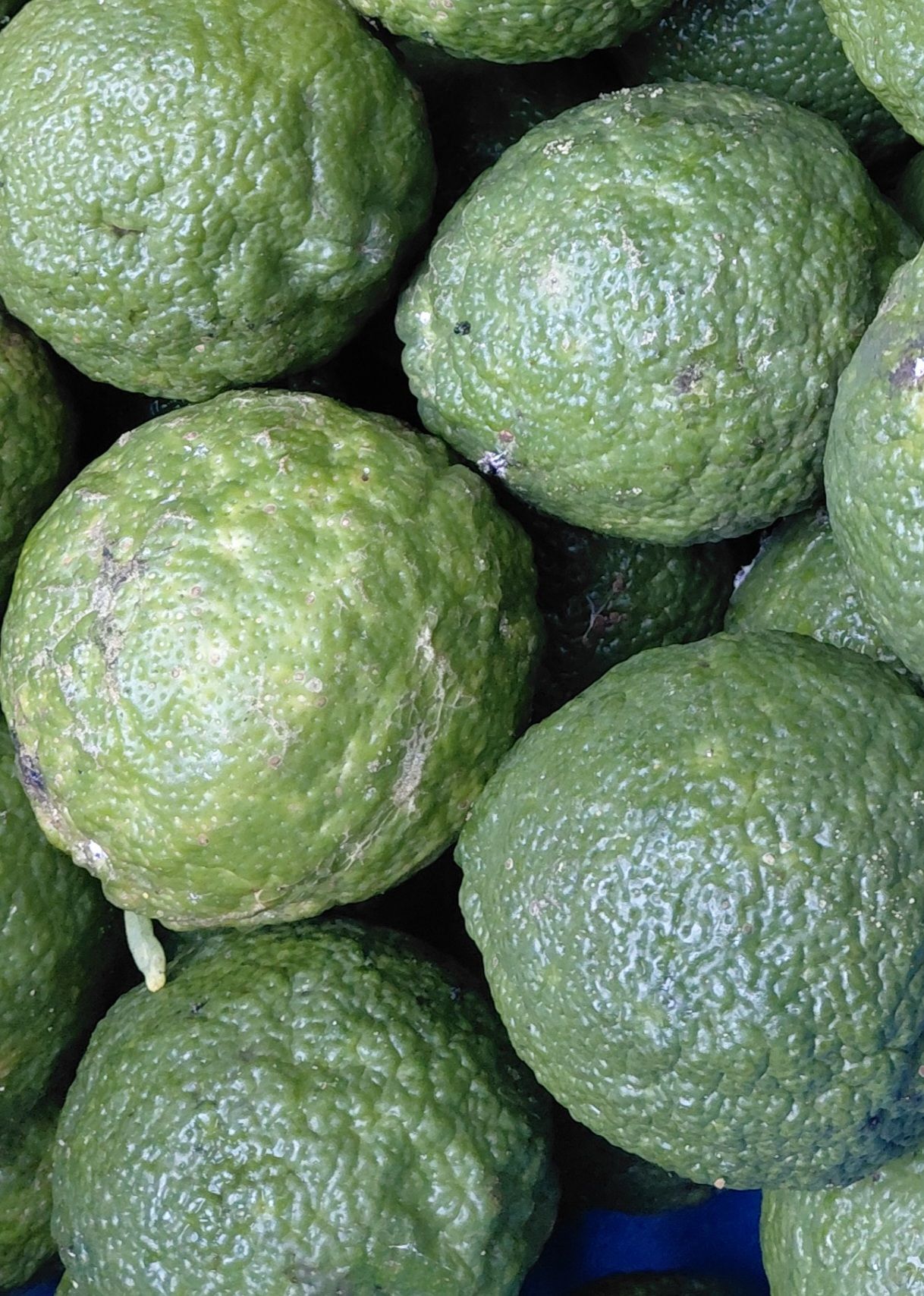 Local Green Lemons