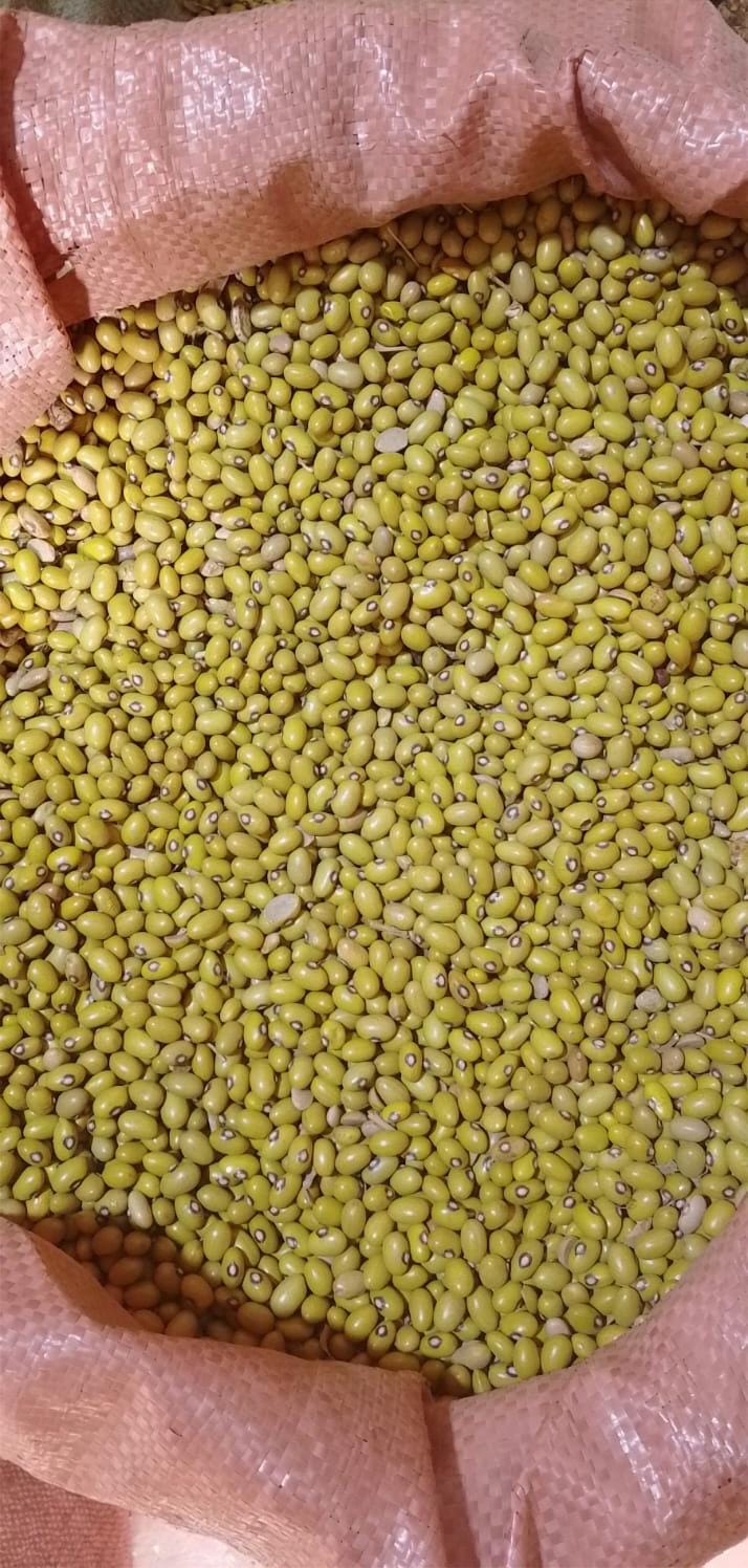 Yellow beans