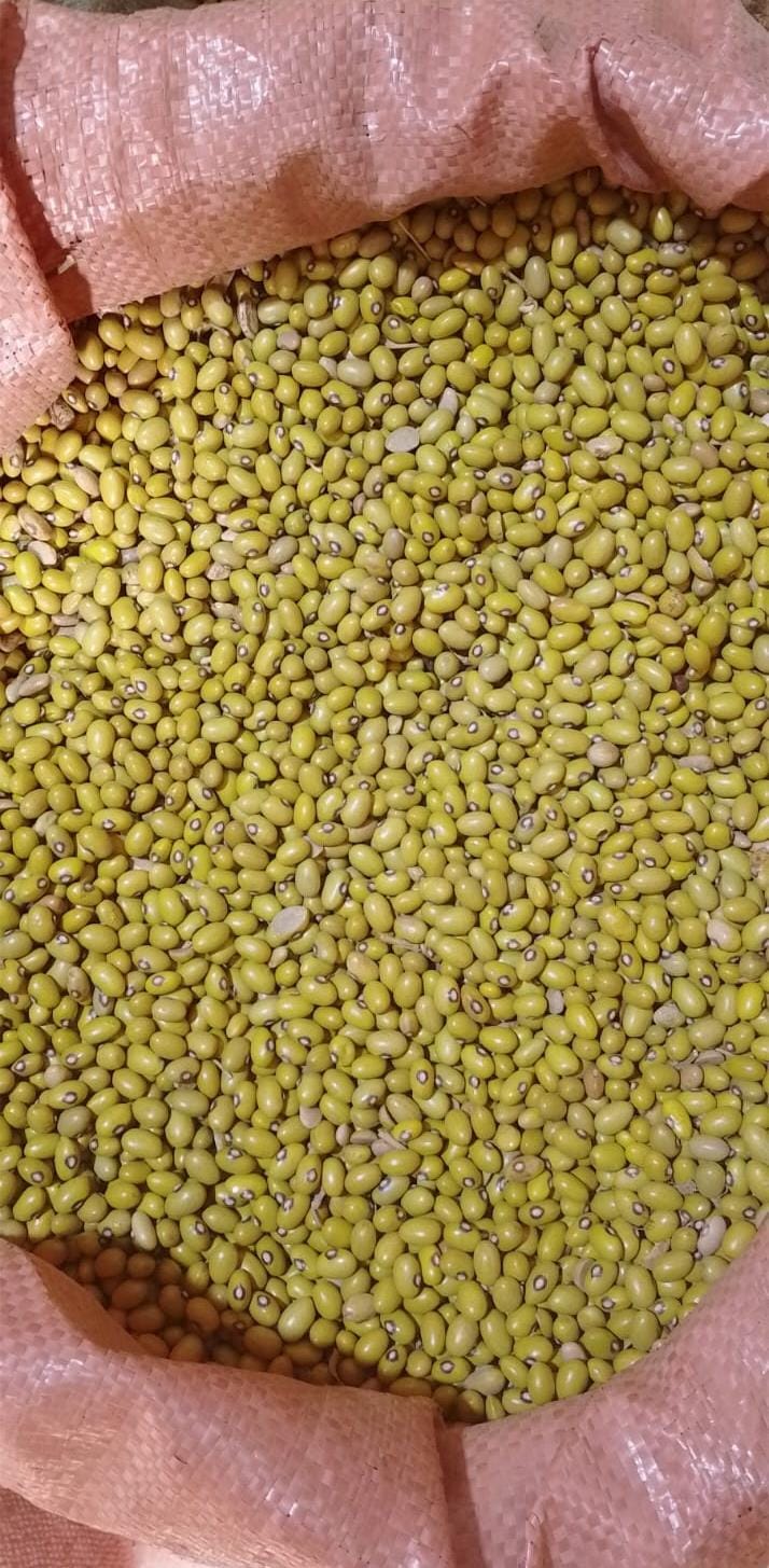 Yellow beans