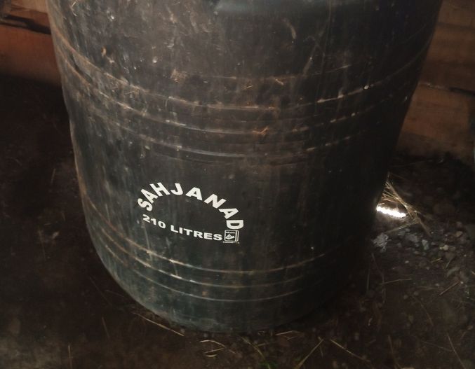 Rabbit urine