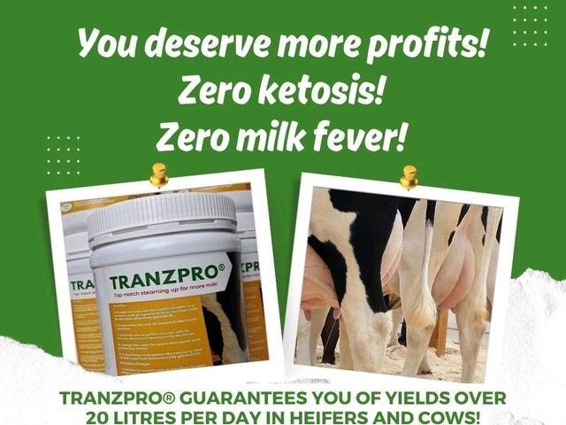 Tranzpro® - Additional View