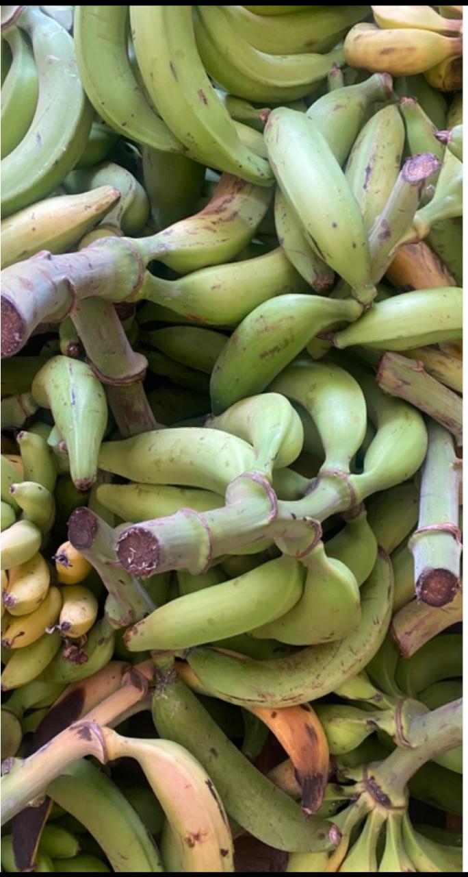 Green Plantain