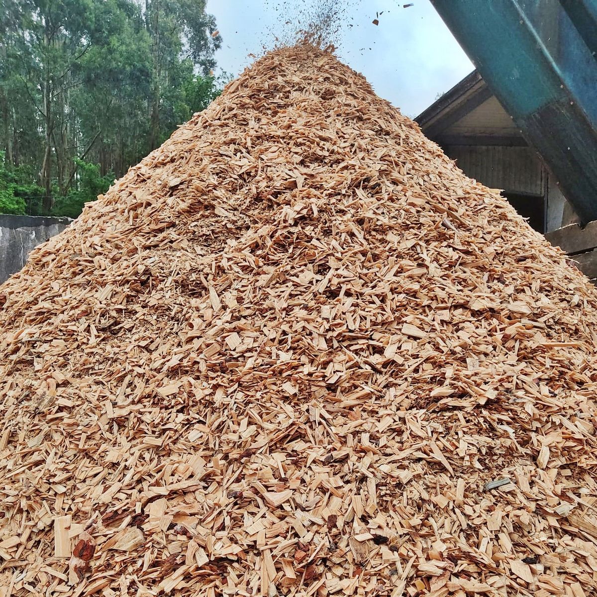 Fine, Course Sawdust