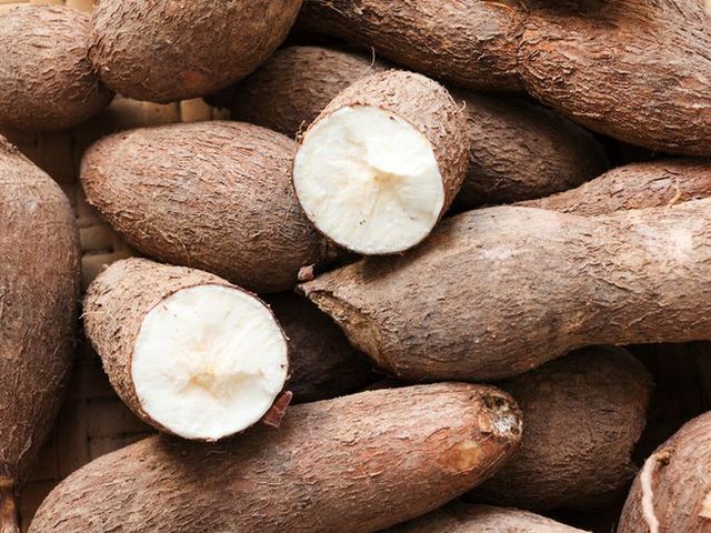 CASSAVA