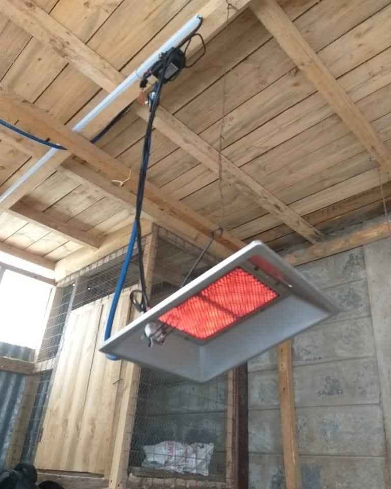 GAS BROODER HEATER