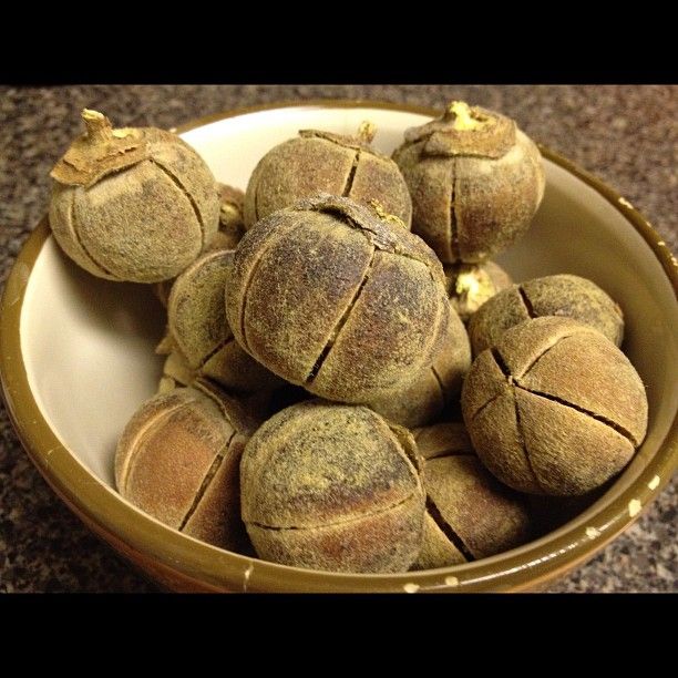 AZANZA/GORONTULA FRUITS – 800.00 KSh