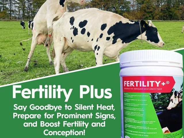 Fertility+® - Additional View
