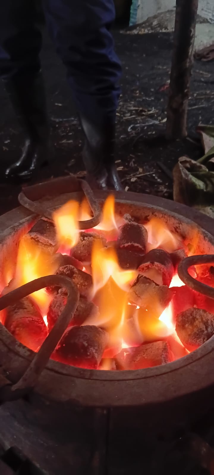 PREMIUM CARBONIZED BAGASSE BRIQUETTES – 1500.00 KSh