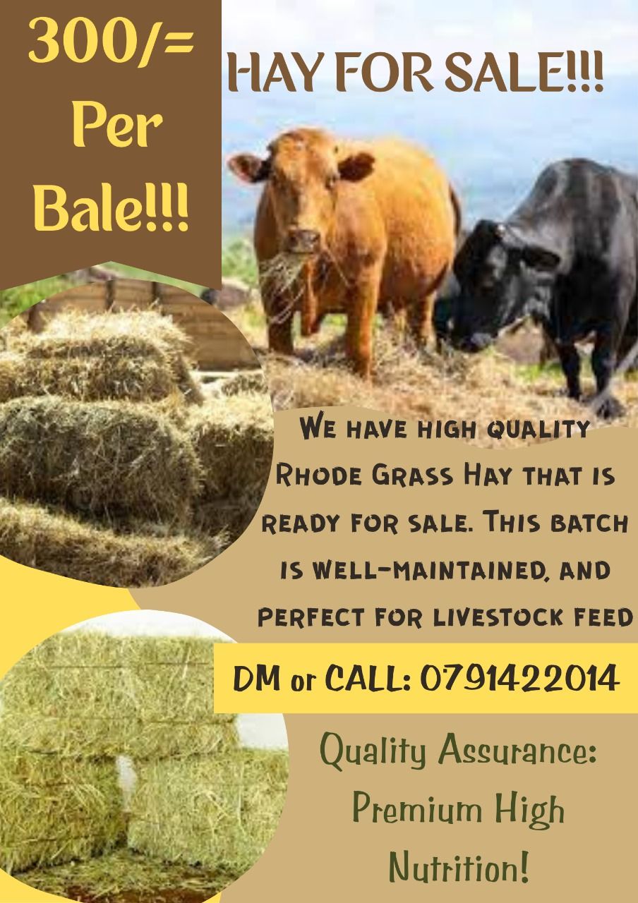 HAY - 300.00 KSh