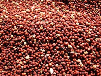 PREMIUM FINGER MILLET - 120.00 KSh