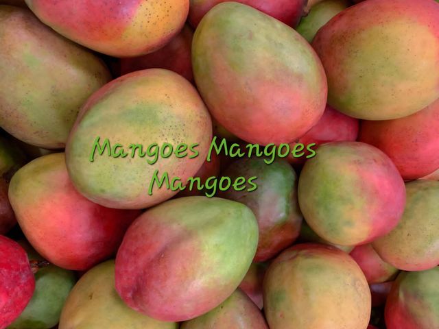 Mangoes