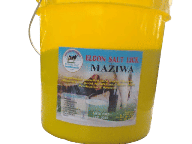 Maziwa Salt Lick
