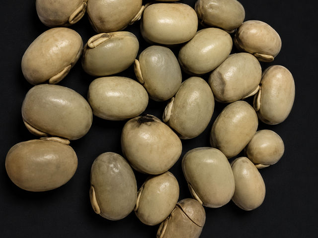 Mucuna Velvet Beans