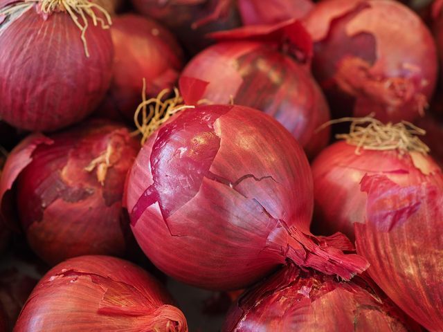 Red coach dry Onions
