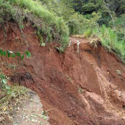 Erosion were present in some parcels before planting