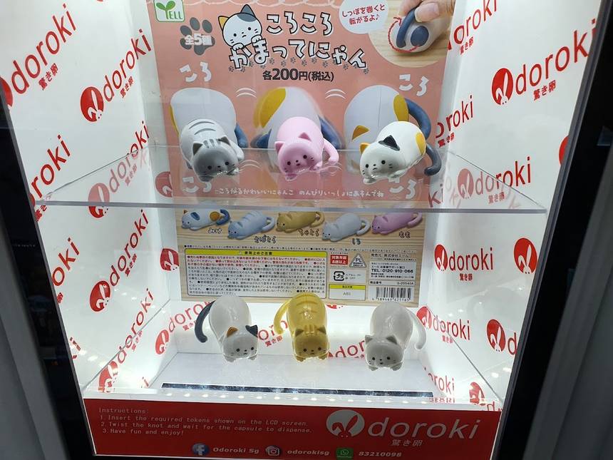 Odoroki at Causeway Point