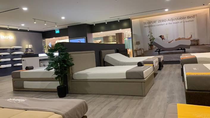 TEMPUR at IMM