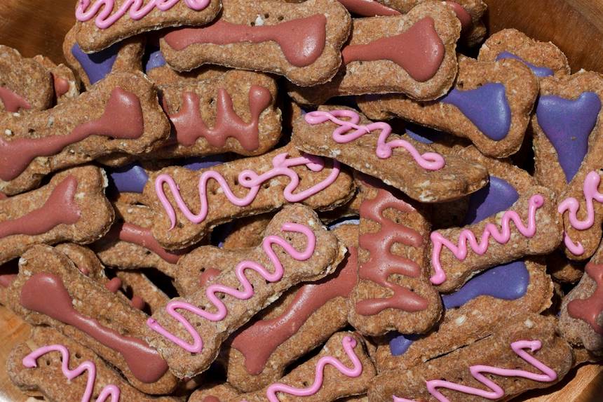 Cat & the Fiddle at Junction 8