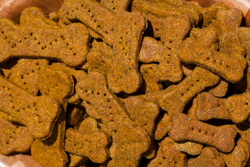 Cat & the Fiddle at Junction 8