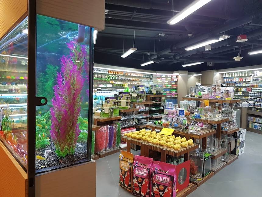 AMB Aquatic Hub at The Centrepoint