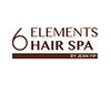 6 Elements Hair Spa logo