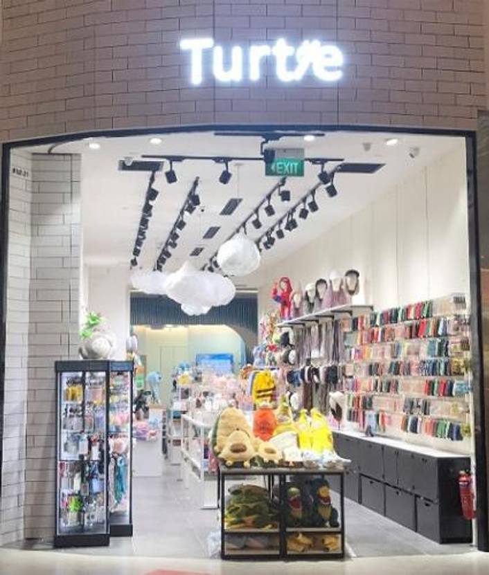 TURTLE at NEX