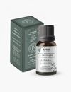 Essência Concentrada - Arruda Boas Energias - 10ml