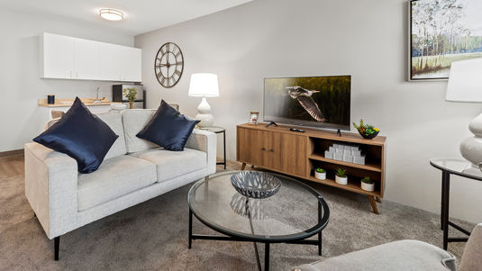 senior apartment model living room with couch tv and entertainment center