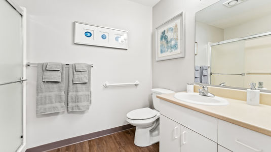 senior apartment model bathroom