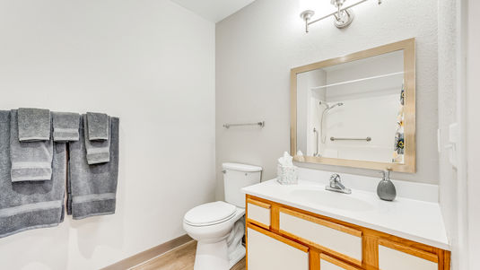 Apartment bathroom at Holiday Palmer Hills