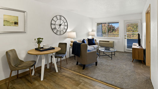 one bedroom open kitchen and living area
