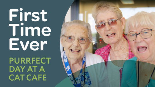Three older women smile in a cat cafe with the words First Time Ever, Purrfect Day at a Cat Cafe overlayed
