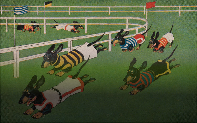 Illustration of dachshunds in colorful jerseys racing on a grassy track, with flags and barriers in the background.
