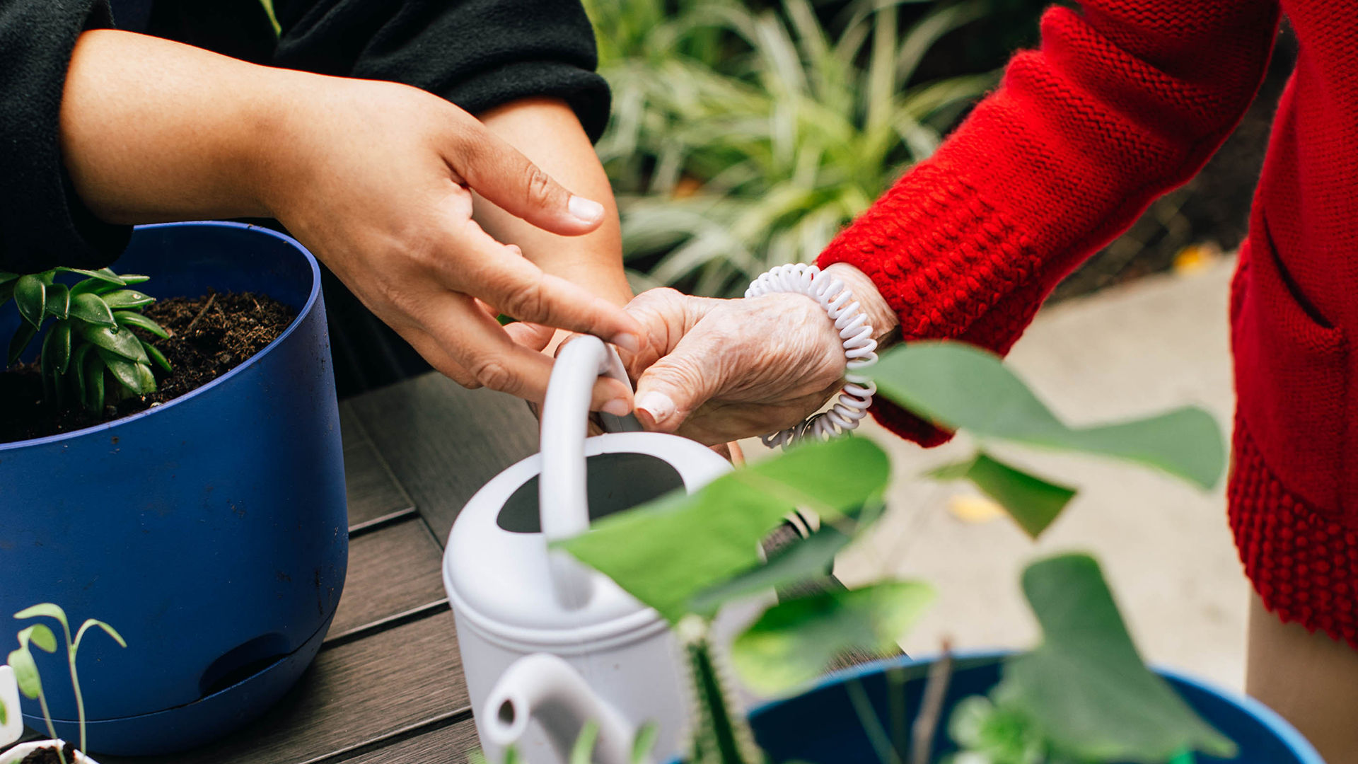 Close-up view of one pair of hands giving a watering can over to another pair of hands, with plants in the foreground and background