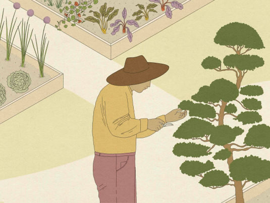 illustration of farmer trimming plants
